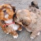 mi bebe y su hermanito... uno de los tantos