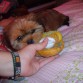 jugando