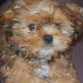 con 3 dias para cumplir 3 meses