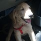 De paseo en el carro de mi mami. Ahí con 2 meses y una semana