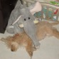 Harrison, durmiendo con su elefante, jajajaja!!!