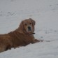 aprovechando el dia q nevo¡¡¡¡se volvio loco comiendo nieve¡¡¡¡