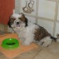 leeny comiendo