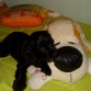 Con su peluche