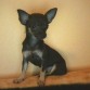 tengo 4 meses