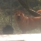 Kyra,un dia de campo