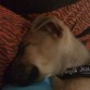 Durmiendo