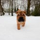 Su primer día de nieve.