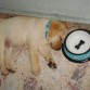 Brandon durmiendo:: que tierno¡