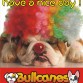BULLCANES English and French bulldog puppies for Sale
Bulldog Ingles y bulldog frances a la venta!
http://www.bullcanes.net