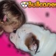 BULLCANES English and French bulldog puppies for Sale
Bulldog Ingles y bulldog frances a la venta!
http://www.bullcanes.net