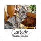 BULLCANES English and French bulldog puppies for Sale
Bulldog Ingles y bulldog frances a la venta!
http://www.bullcanes.net