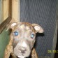 Charlyn