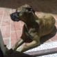 China, tomando el sol!