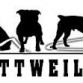 rottweiller