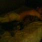 "No molesten en mi siesta"