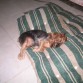 En el 2008, durmiendo la siesta en verano