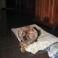 15 días antes de decirme adios... Te extraño!!!
