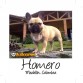 BULLCANES English and French bulldog puppies for Sale
Bulldog Ingles y bulldog frances a la venta!
http://www.bullcanes.net