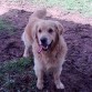 guapisimo yogui!!