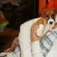 3 meses recien cumplidos