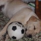 junior cansado despues de tanto jugar a la pelota