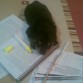 cansado de estudiar...