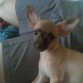 pose pose pose pose jaja.....
linda nooo....!!!!  =)