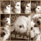 Ossly e ioxD!!:S_::S:SS:S:S:S:SxD!!