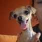 Mi princesa
