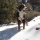 En la nieve!
