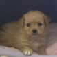 Sally con 1 mes 8 dias, el primer dia en casa