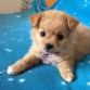 Sally  le encanta la cama!! que lista!! jajaja