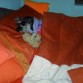 DURMIENDO PLACIDAMENTE 