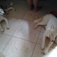 Mapa y blanca. Hermanas juntas