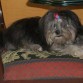 sentada en el sillon posando