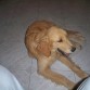 :( muy cansado... despues de ir al cerro y sin una boronita de tierra jajaja