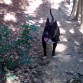 A su bola x el campo