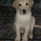 con 2 meses y medio