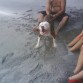 semana santa en montezuma..