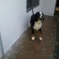 Esperando para salir de paseo