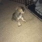 Jugando a mis 14 dias