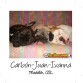 BULLCANES English and French bulldog puppies for Sale
Bulldog Ingles y bulldog frances a la venta!
http://www.bullcanes.net