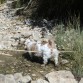 BEBIENDO UN POKITO DE AGUA MI BEBE..:)