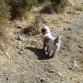 UN DIA EN ELCAMPO