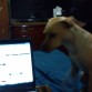 mi nena checando su facebook jejeje