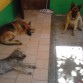 Los 3 