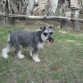 PASEANDO POR LOS JARDINES DE LA CASA BETANIA - BORRERO - AZOGUES