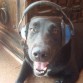 Escuchando musica pop!!