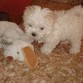 Bruno con su peluche favorito 